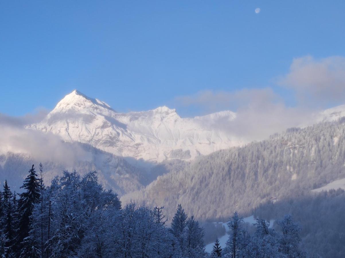 Chalet Mon Idole Флюме Экстерьер фото