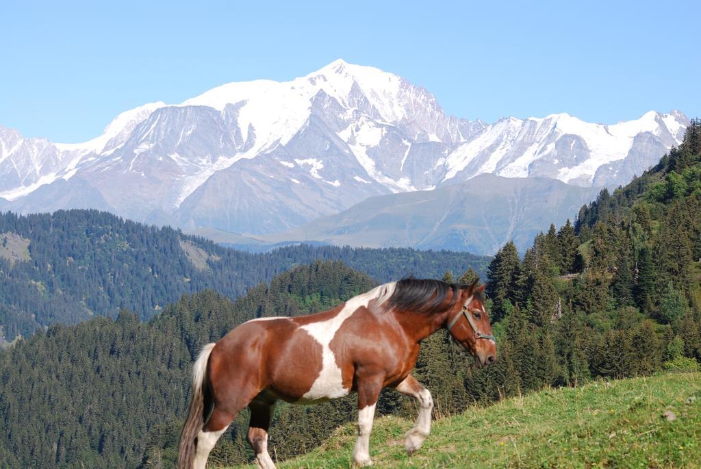 Chalet Mon Idole Флюме Экстерьер фото